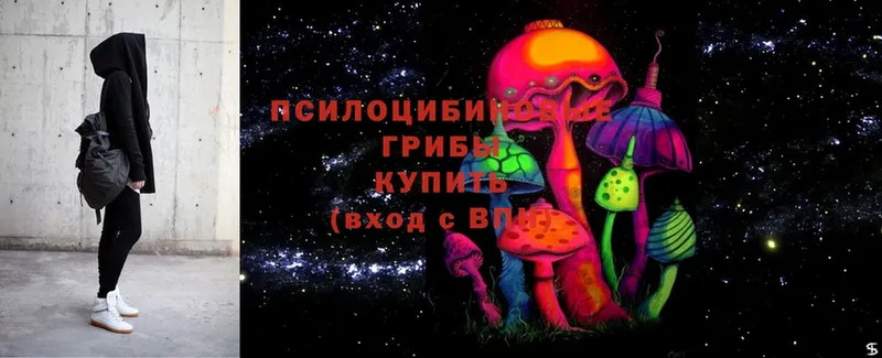 Псилоцибиновые грибы Magic Shrooms Бузулук